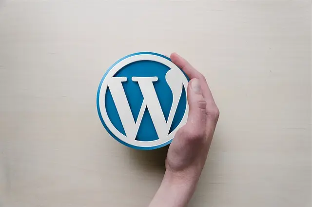 Plik functions.php w WordPressie